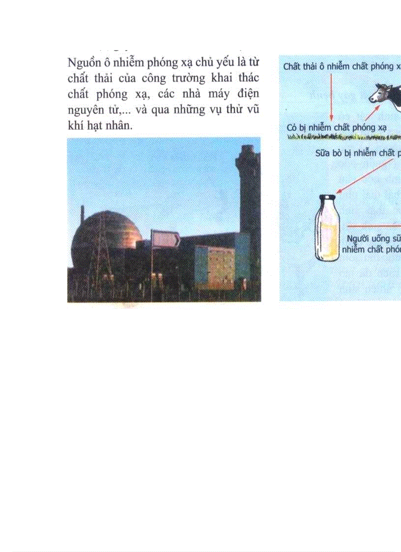 image for page Hình ảnh Sinh Học 9 Hot