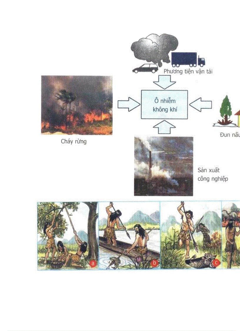 image for page Hình ảnh Sinh Học 9 Hot