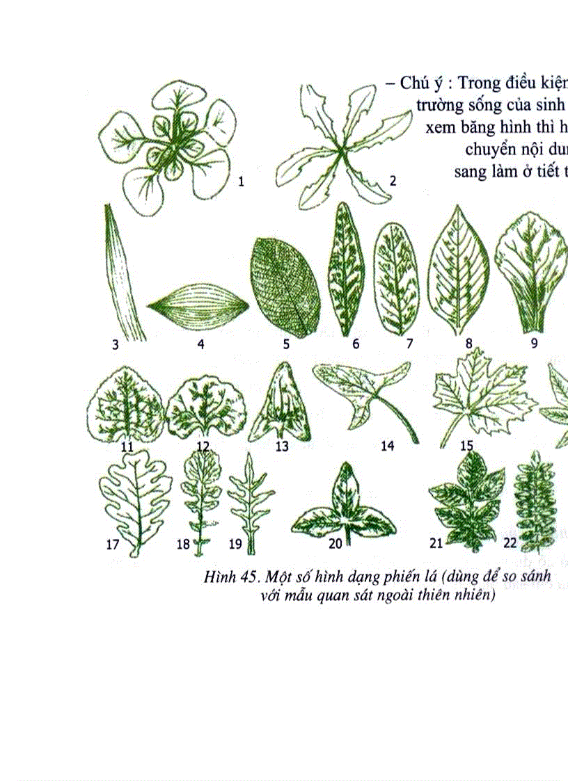 image for page Hình ảnh Sinh Học 9 Hot