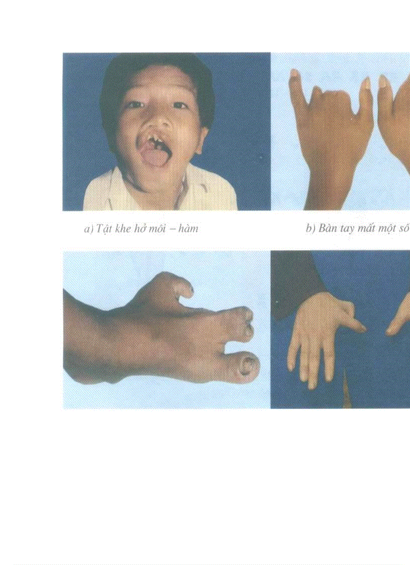 image for page Hình ảnh Sinh Học 9 Hot