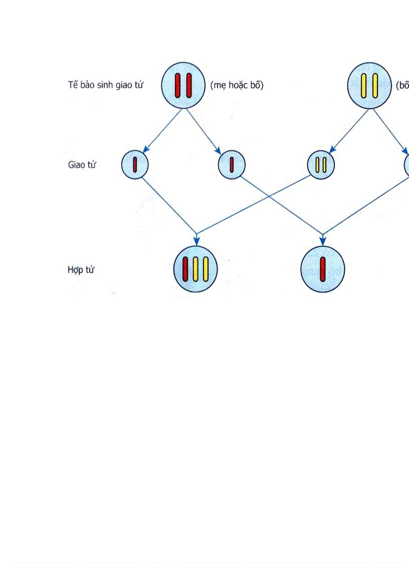 image for page Hình ảnh Sinh Học 9 Hot