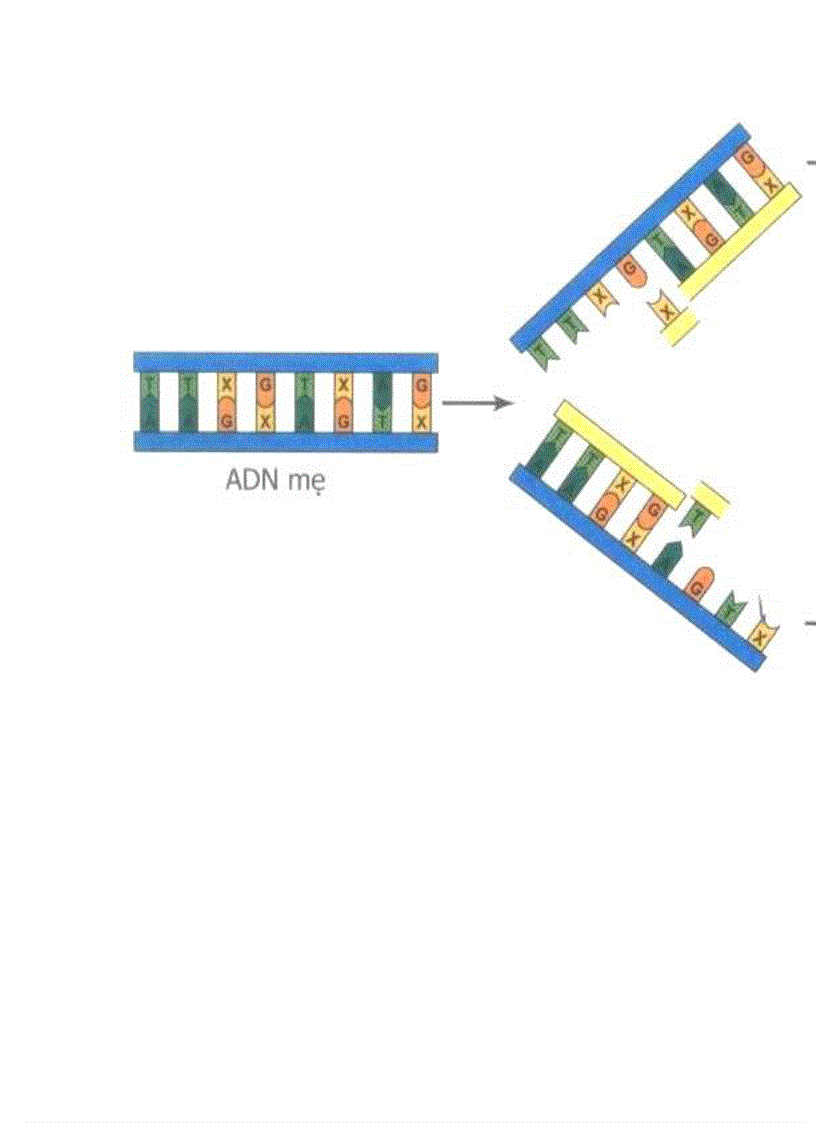 image for page Hình ảnh Sinh Học 9 Hot