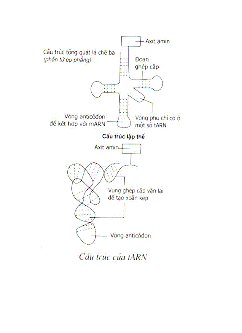 image for page Hình ảnh Sinh Học 9 1 Hot