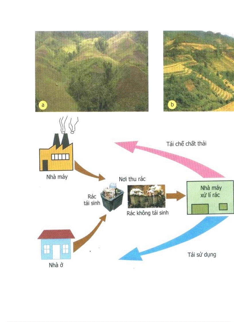 Hình ảnh trong SGK lớp 9