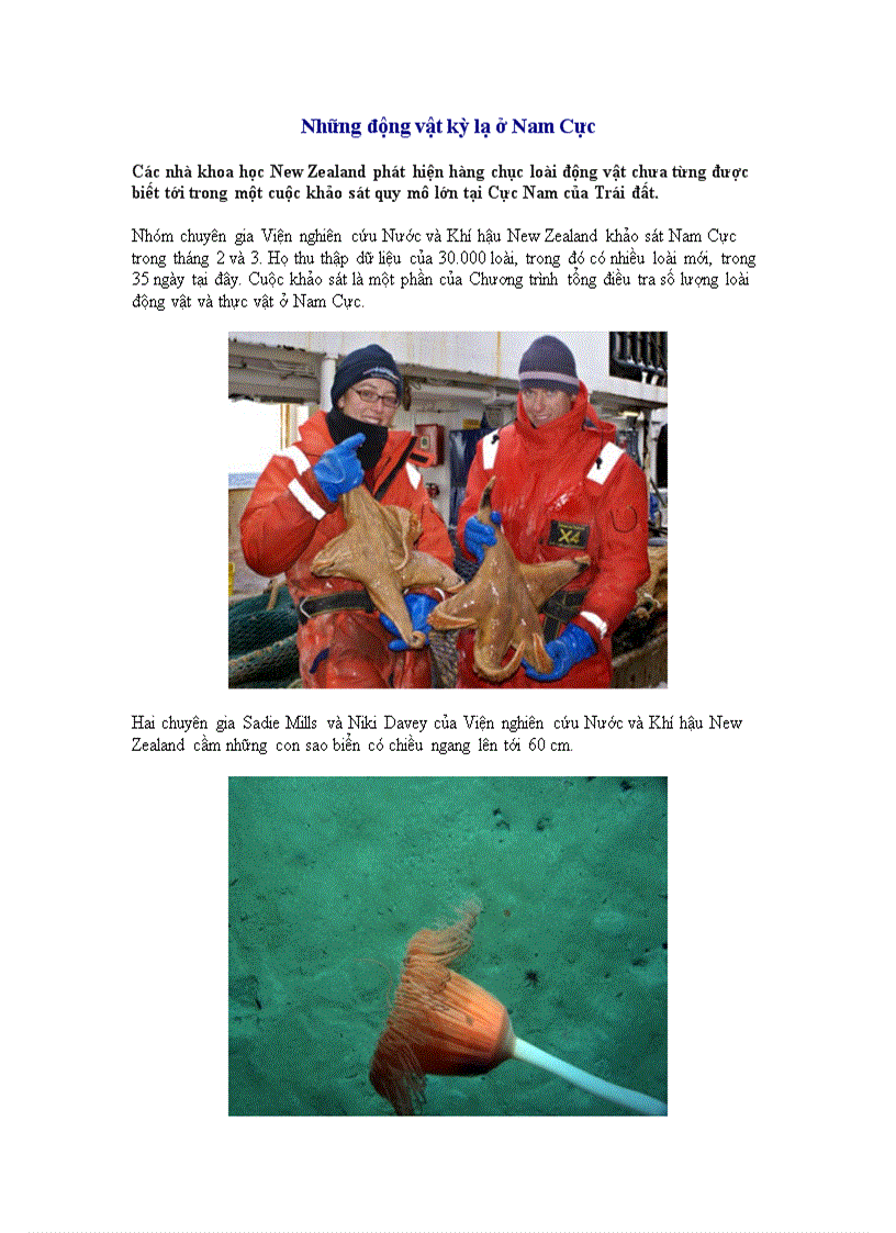 image for page Những động vật kỳ lạ ở Nam Cực