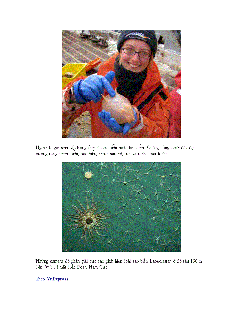 image for page Những động vật kỳ lạ ở Nam Cực