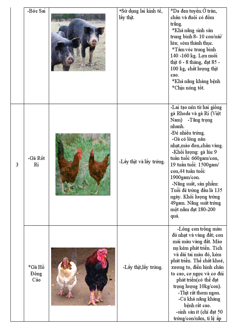 image for page Sinh9 hs tự làm