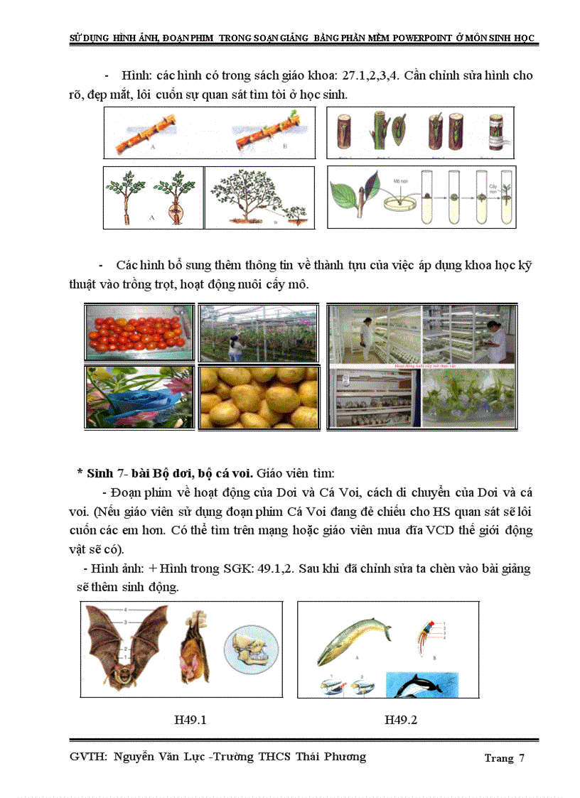 image for page Sử dụng hình ảnh đoạn phim trong soạn giảng bằng phần mềm powerpoint ở môn sinh học