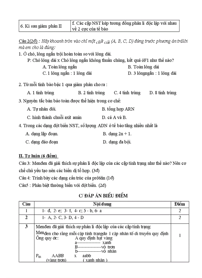 image for page Thi HK I đề chẵn