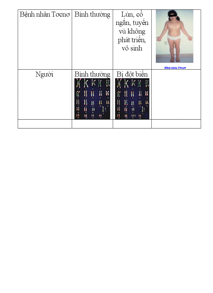 image for page Thường biến biến dị