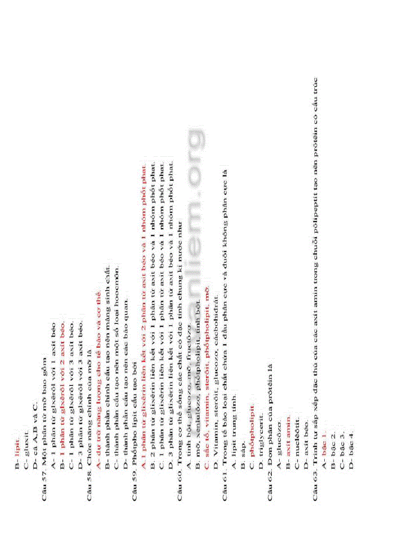 image for page 190 câu hỏi trắc nghiệm ôn tập học kỳ 1