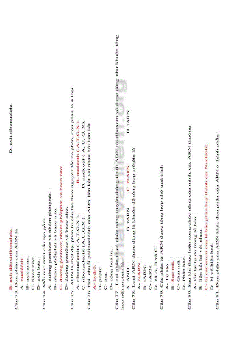 image for page 190 câu hỏi trắc nghiệm ôn tập học kỳ 1