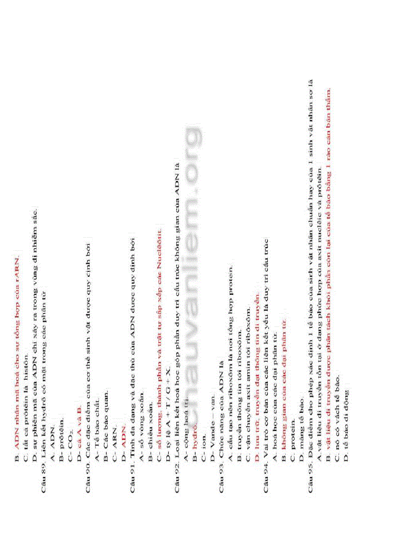 image for page 190 câu hỏi trắc nghiệm ôn tập học kỳ 1