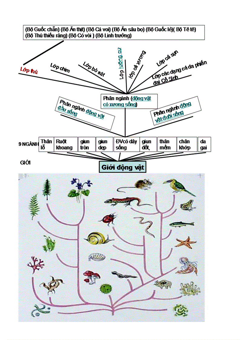 image for page Bai 2 sinh 10