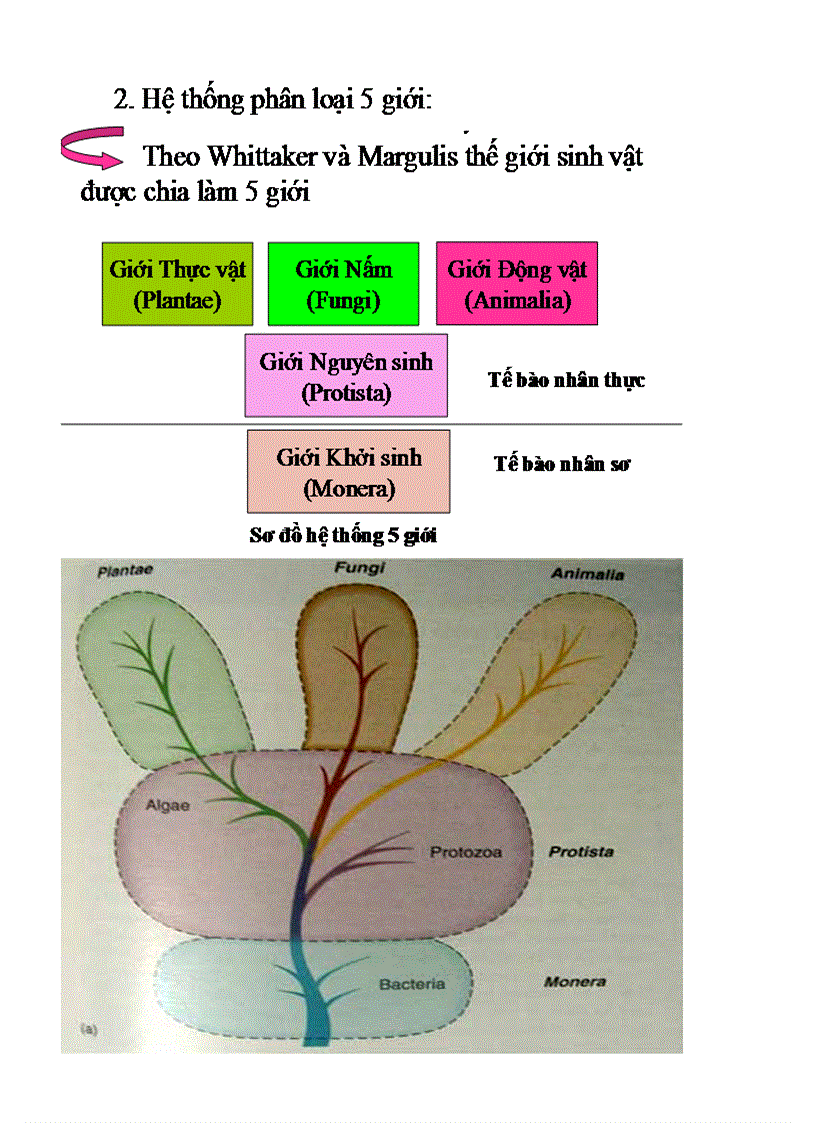 image for page Bai 2 sinh 10