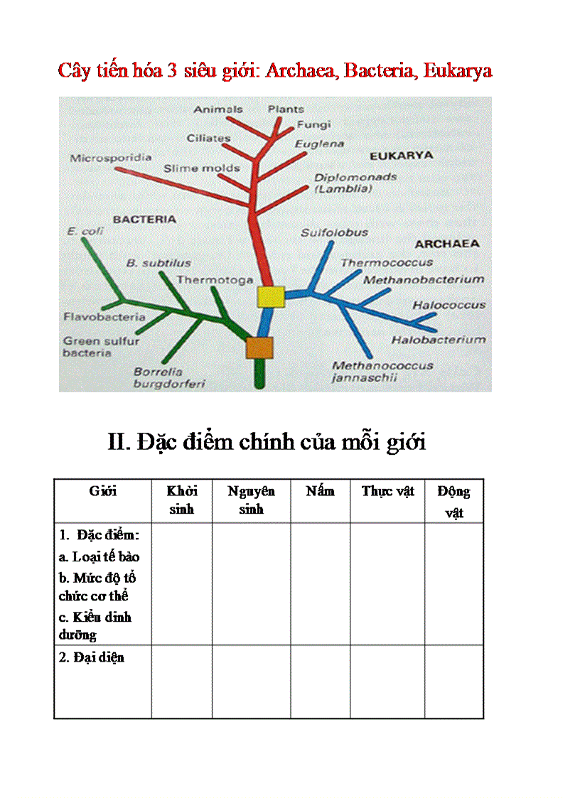 image for page Bai 2 sinh 10