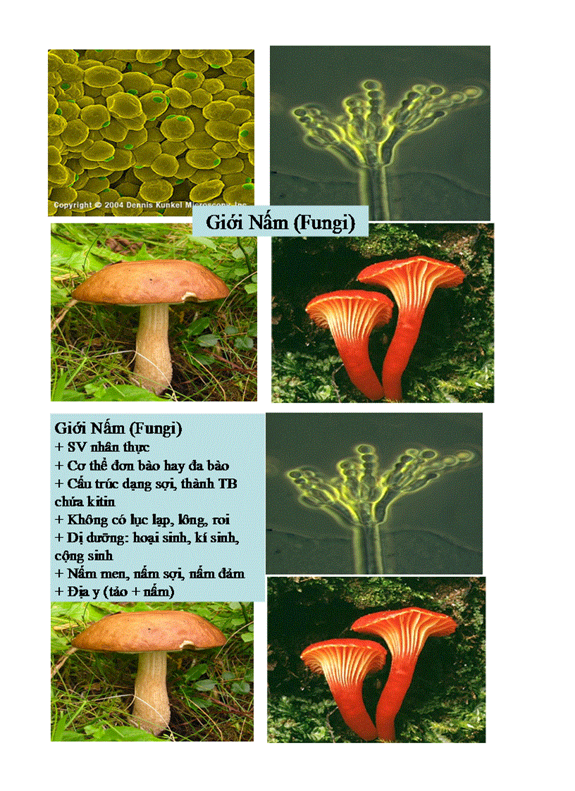 image for page Bai 2 sinh 10