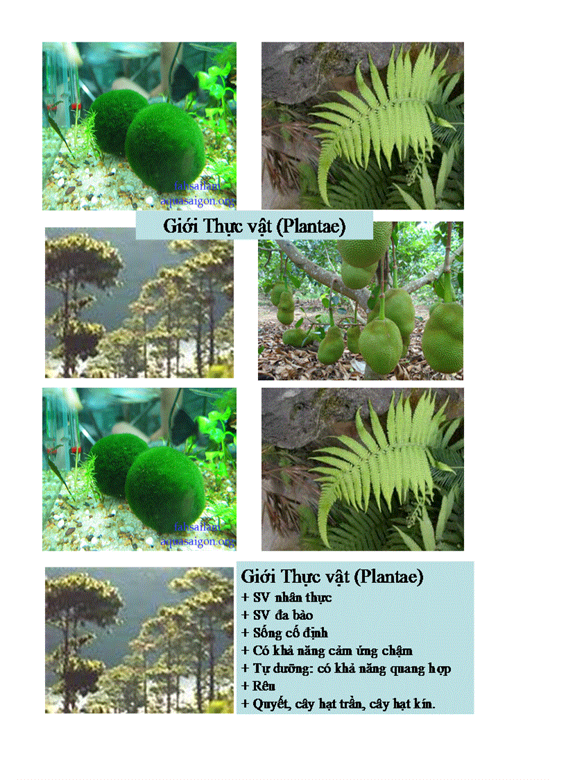 image for page Bai 2 sinh 10