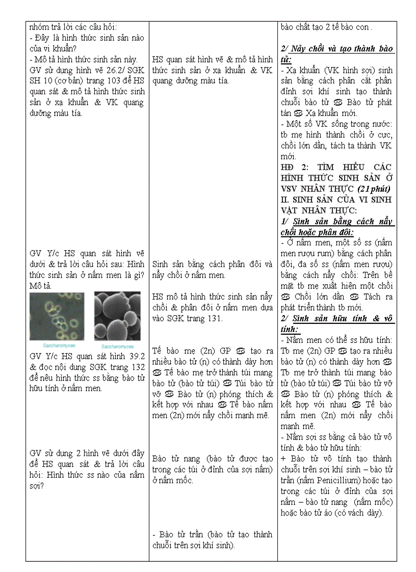 image for page Bài 39 Sinh sản của VSV NC