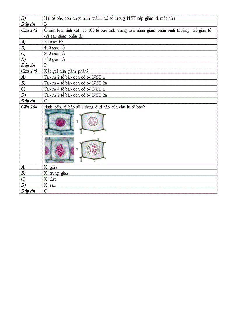image for page BT trắc nghiệm phần 2 Sinh học tế bào