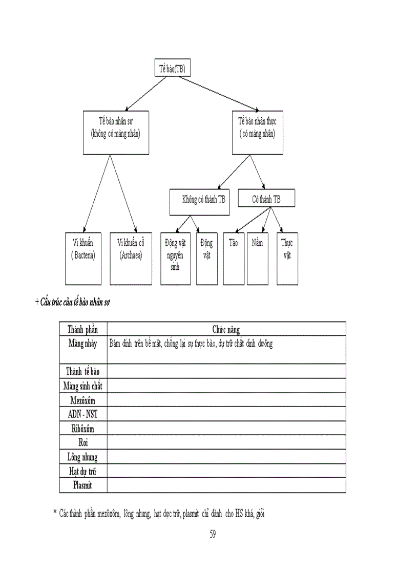 image for page Chuẩn kt kn sinh học 10