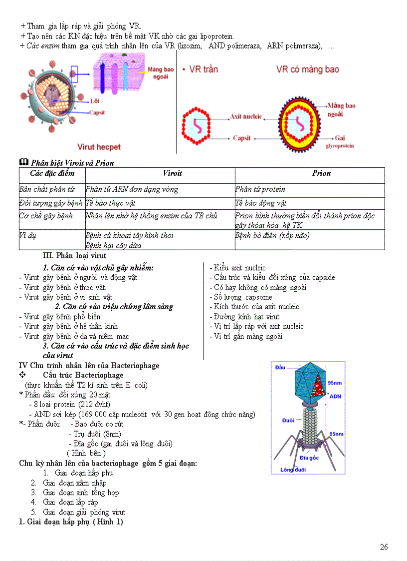 image for page Chuyên đề vi sinh vật