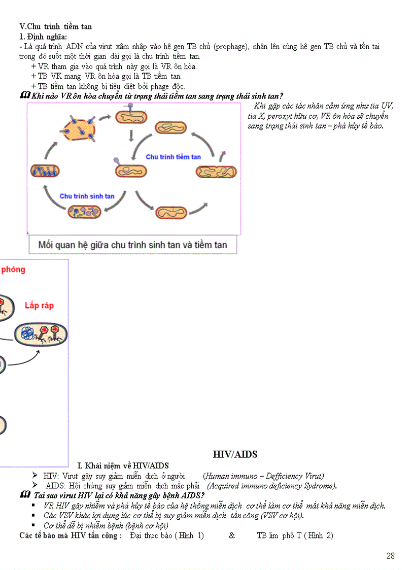 image for page Chuyên đề vi sinh vật