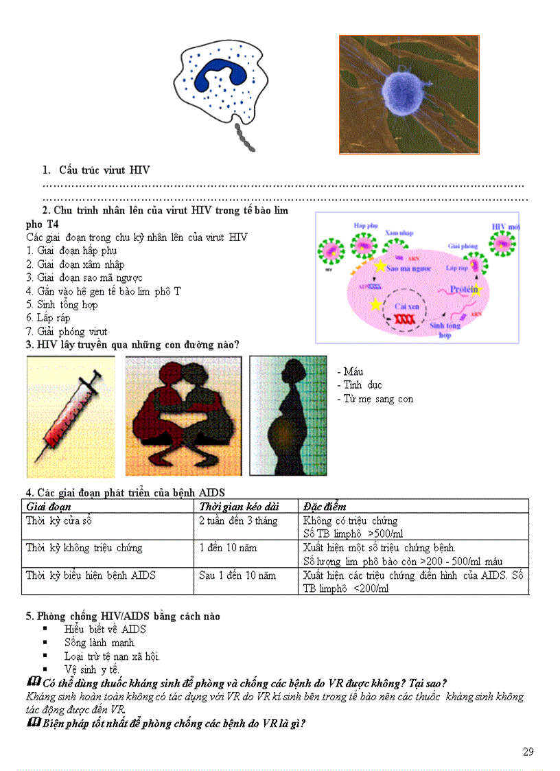 image for page Chuyên đề vi sinh vật