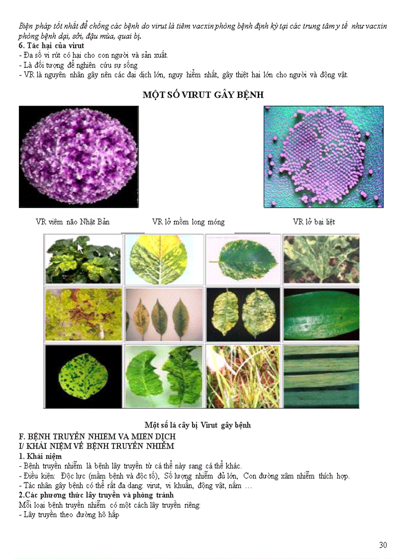 image for page Chuyên đề vi sinh vật