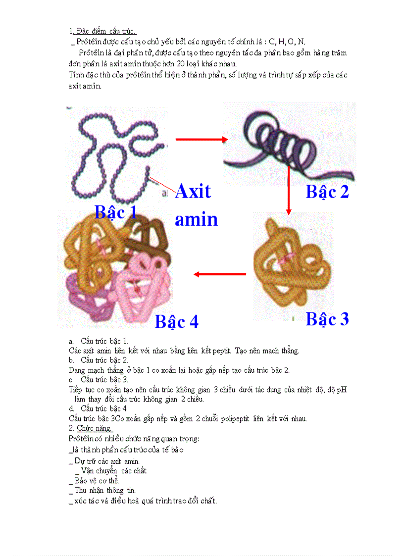 image for page Đề cương ôn tập hk ii sinh 10