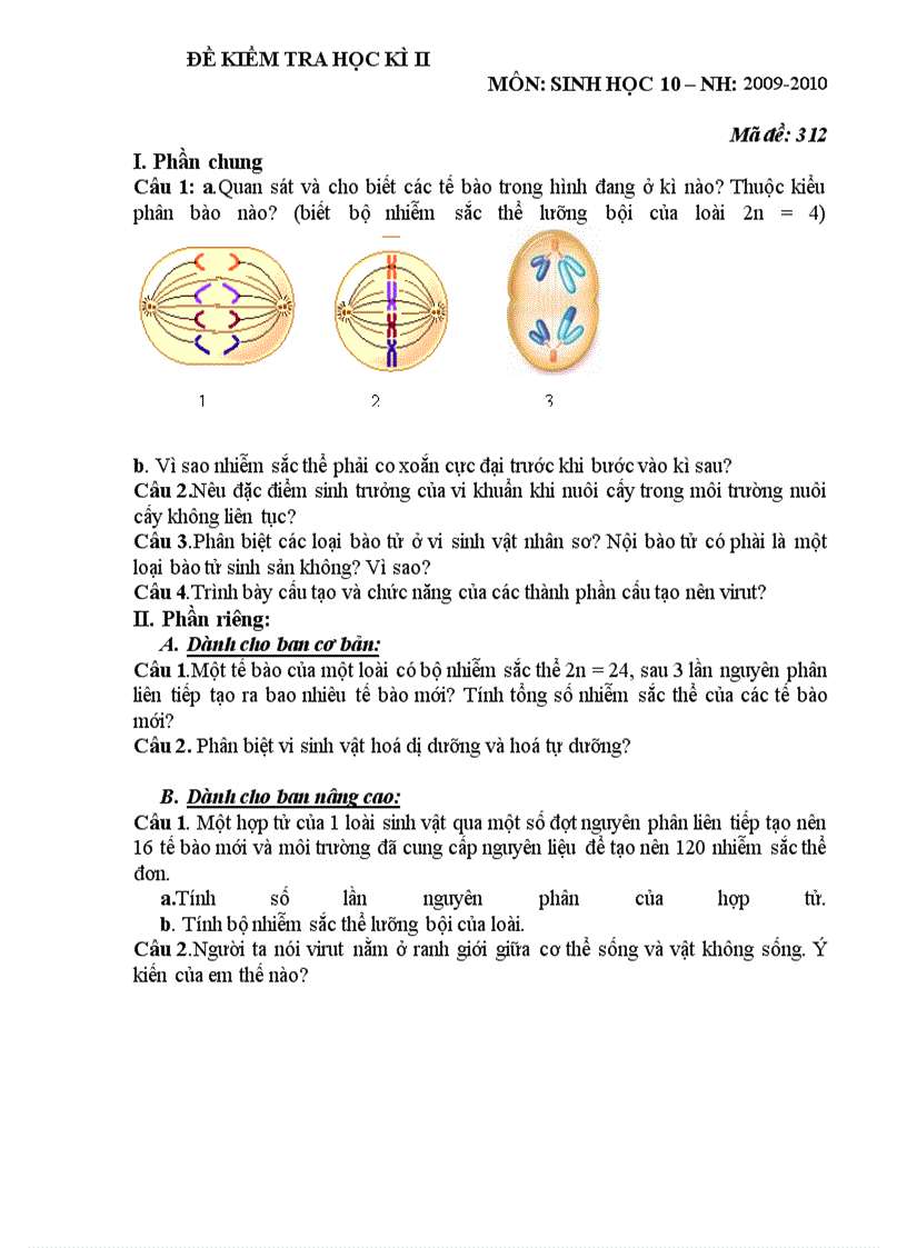 image for page Đề KT Sinh 10 HK II 6