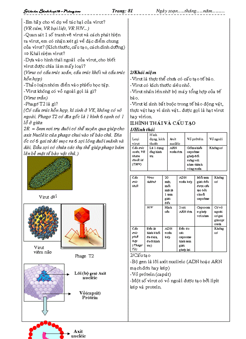 image for page Giáo án Sinh học 10 nâng cao đầy đủ từ tiết 1 đến tiết 48