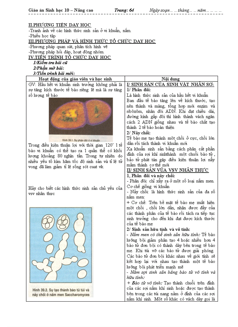 image for page Giáo án sinh học 10 nâng cao toàn tập