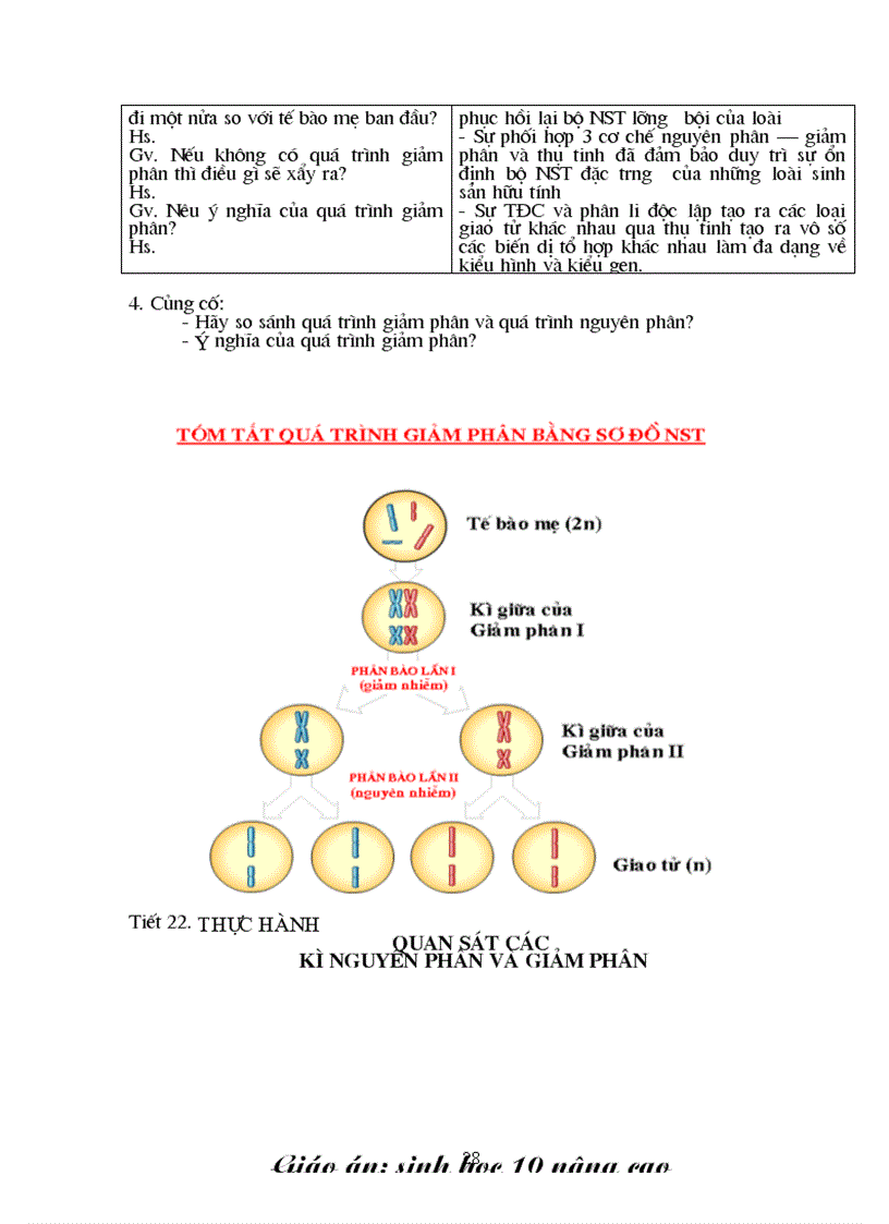 image for page Giáo án sinh lớp 10 Nâng cao