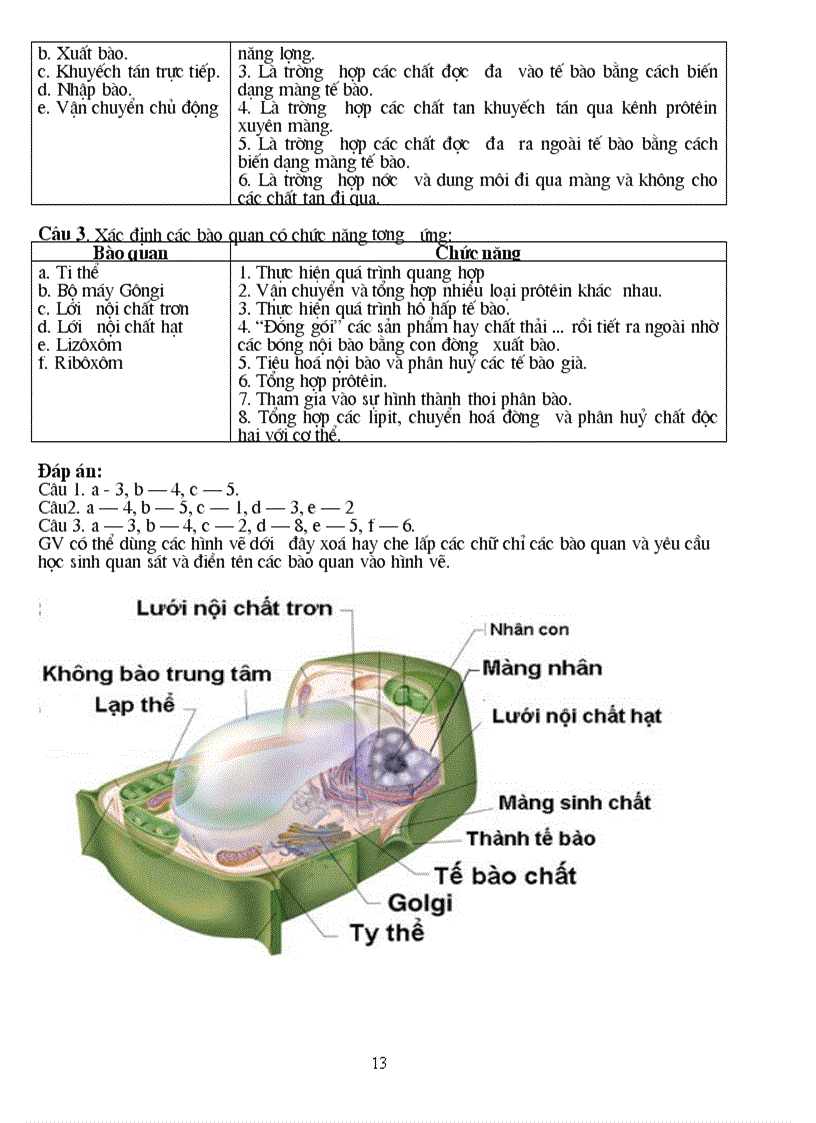 image for page Giao an tu chon 10