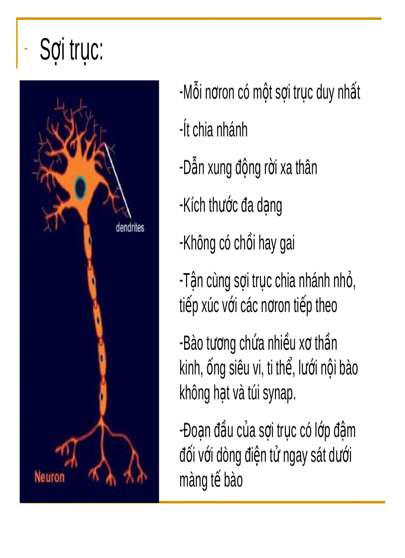 image for page Mo thần kinh