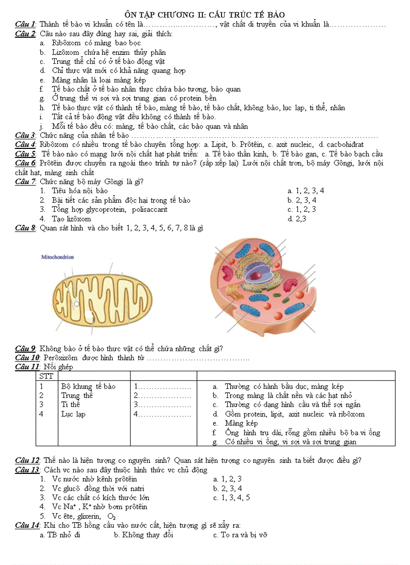 image for page Ôn tập cấu trúc tế bào