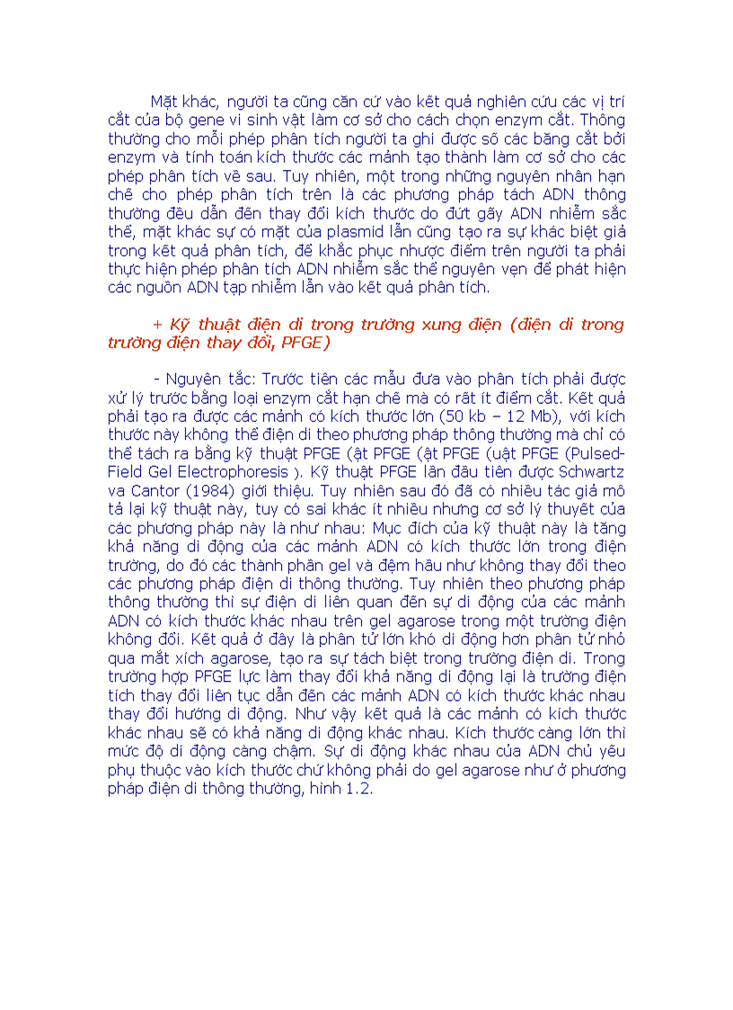 image for page Phân loại vi sinh bằng Sinh Học Phân Tử doc