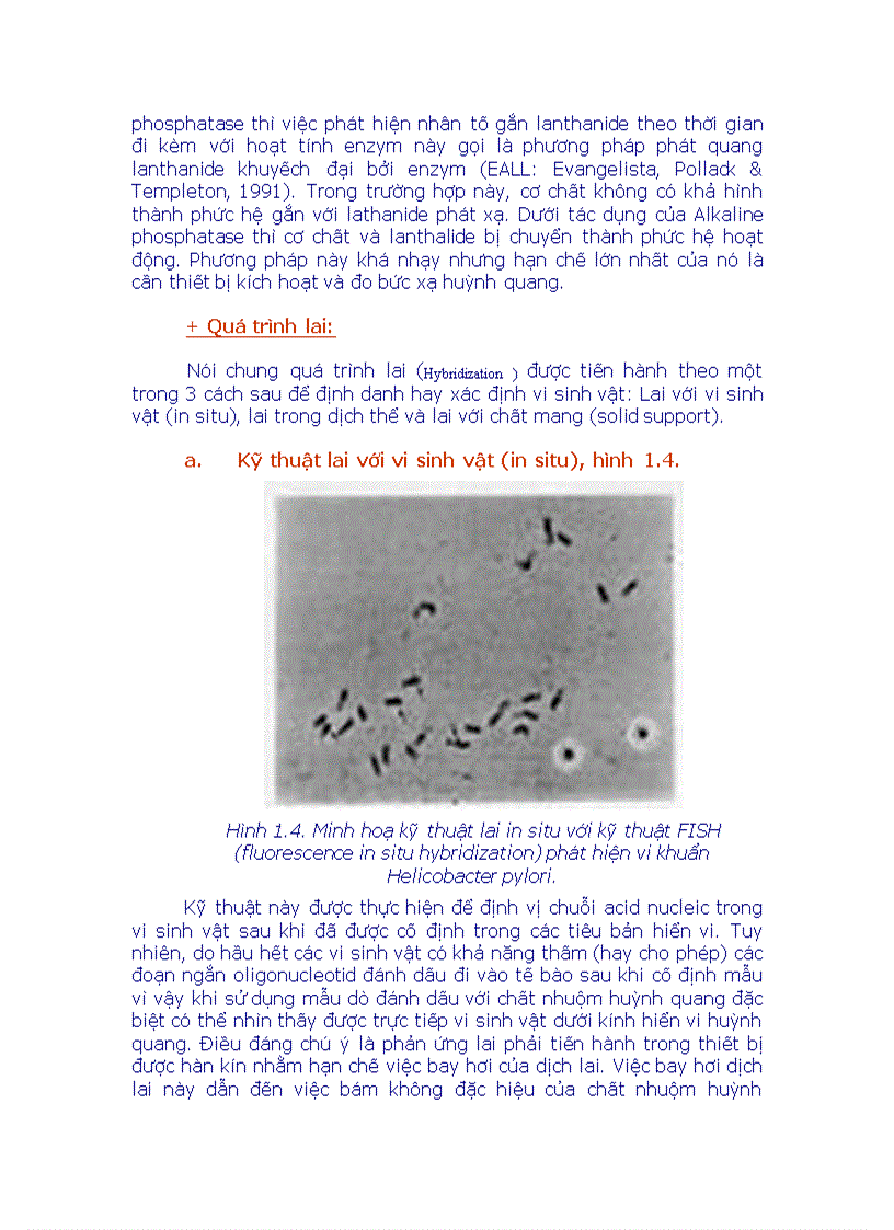 image for page Phân loại vi sinh bằng Sinh Học Phân Tử doc