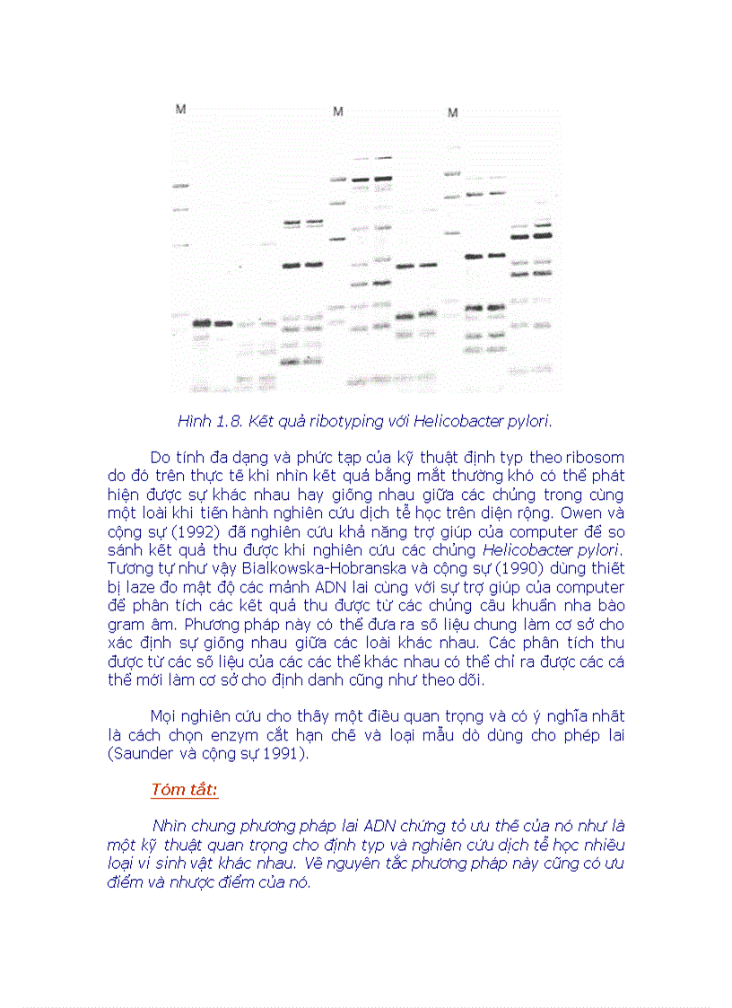 image for page Phân loại vi sinh bằng Sinh Học Phân Tử doc