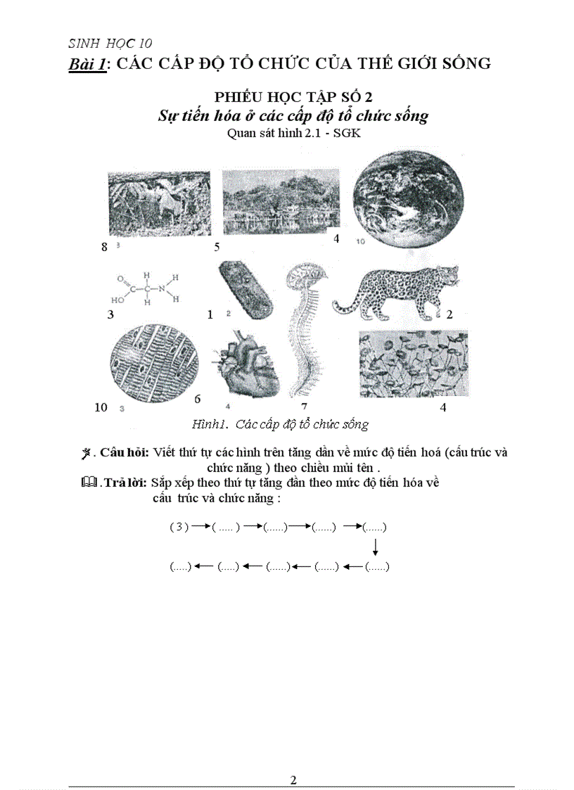 image for page Phiếu học tập cực hay