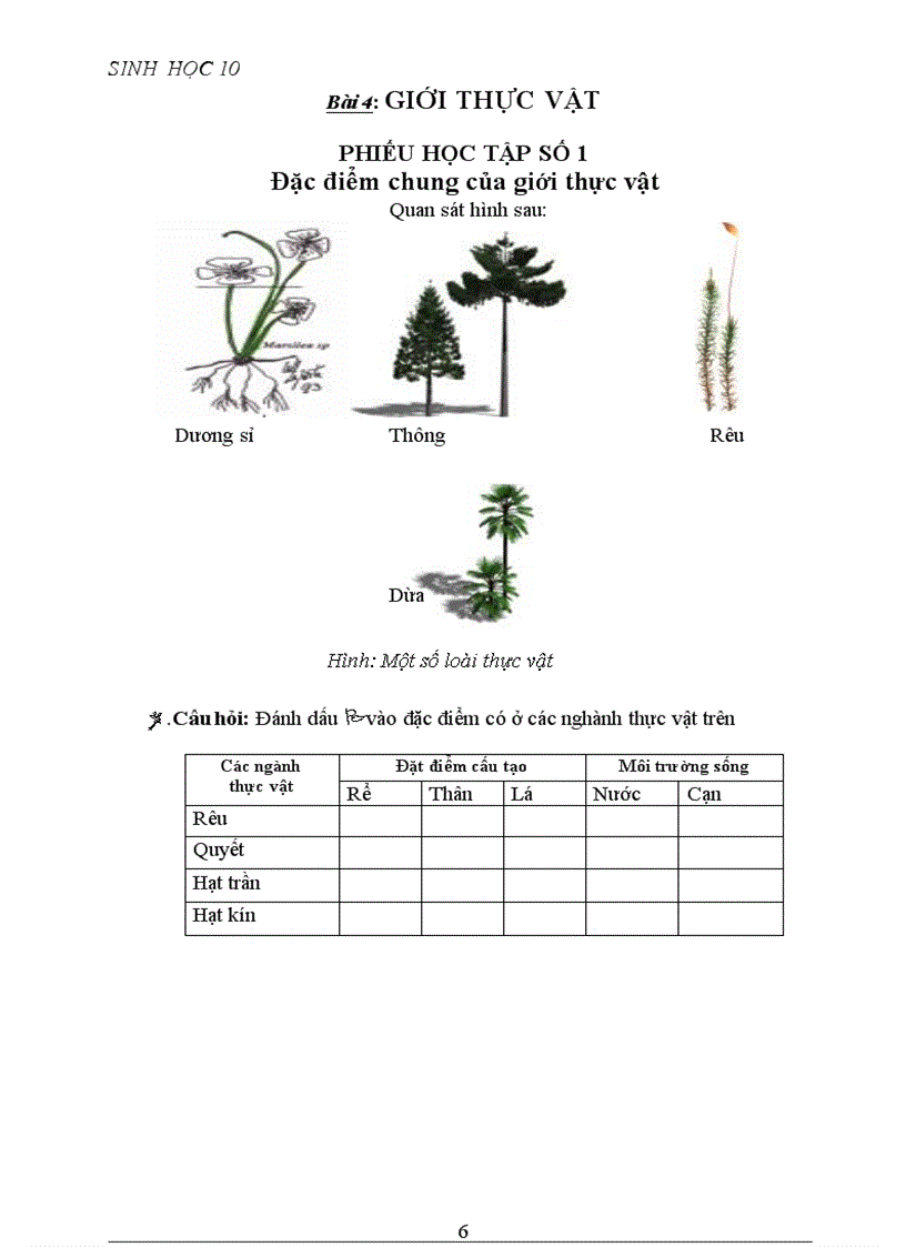 image for page Phiếu học tập cực hay