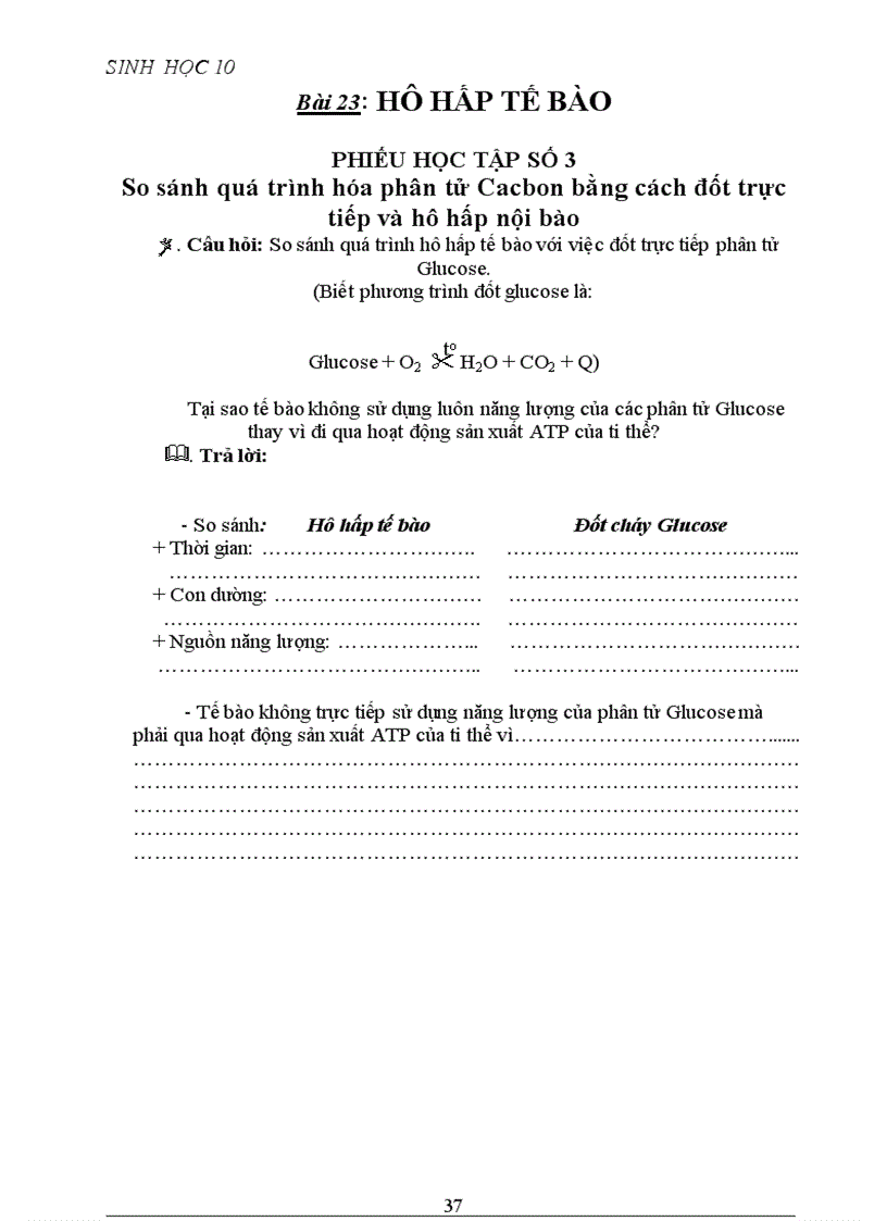 image for page Phiếu học tập cực hay