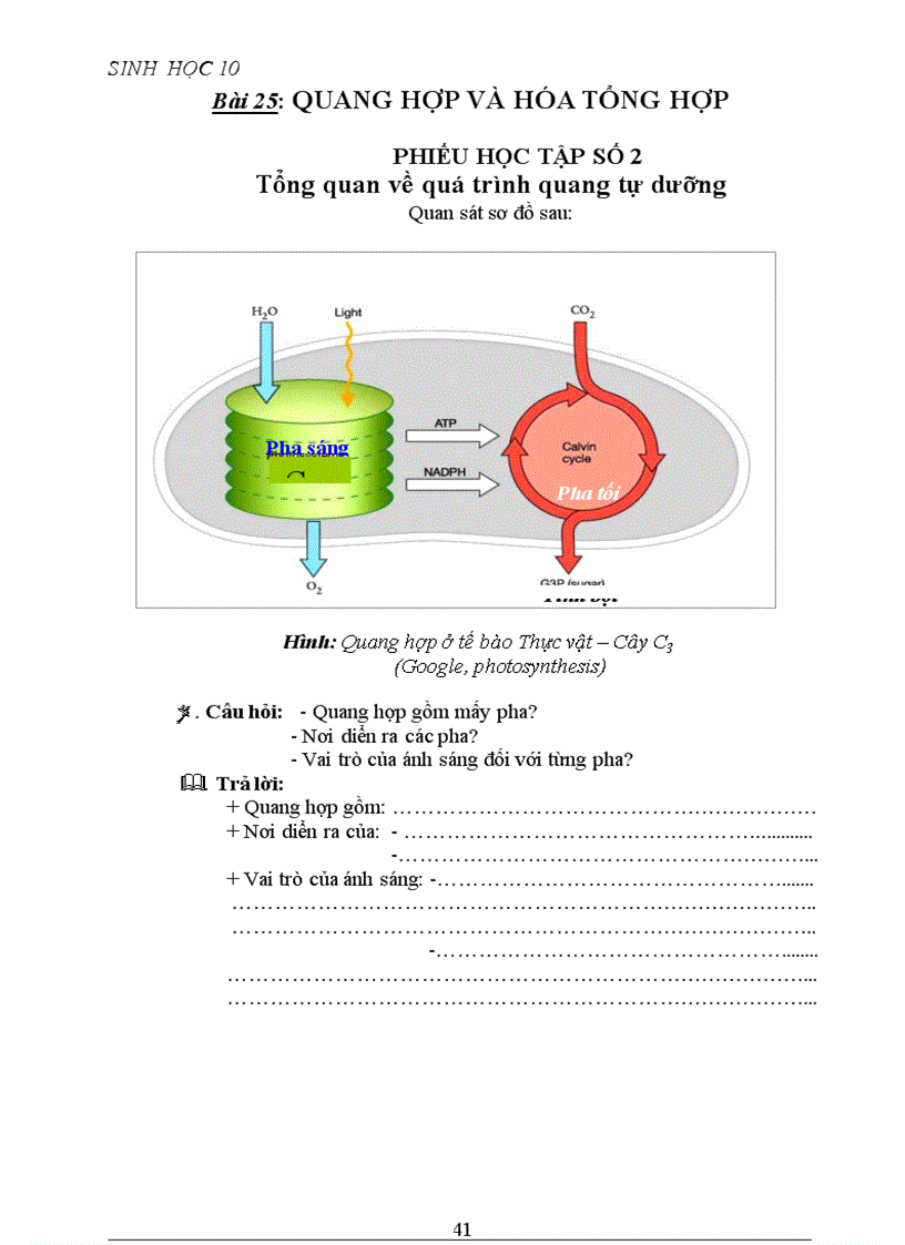 image for page Phiếu học tập cực hay