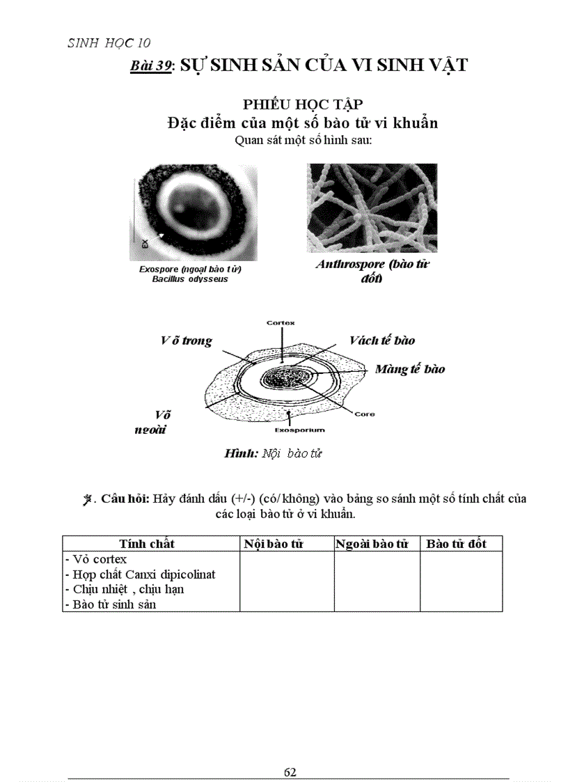 image for page Phiếu học tập cực hay