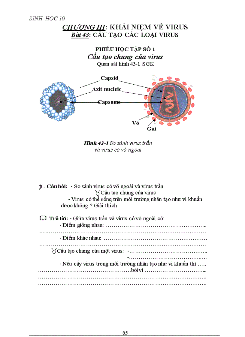 image for page Phiếu học tập cực hay