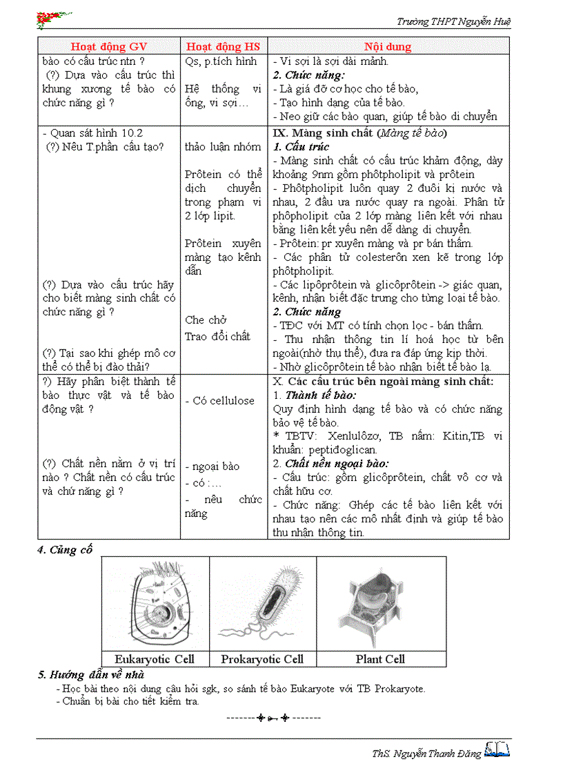 image for page Te bao nhan thuc Eukaryotes