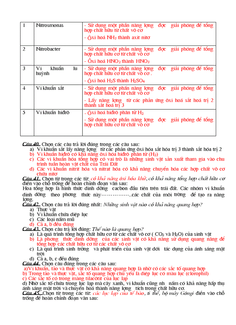 image for page Trắc nghiệm sinh học lớp 10 phần II chương 3 Chuyển hóa vật chất và năng lượng trong tế bào