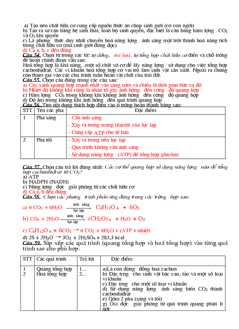 image for page Trắc nghiệm sinh học lớp 10 phần II chương 3 Chuyển hóa vật chất và năng lượng trong tế bào