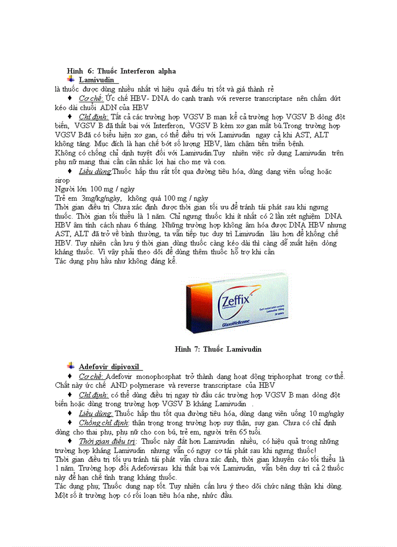 image for page Vỉut gây bệnh vỉut viem gan siêu vi B